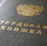 С октября вступят в силу изменения в закон о сроках выплаты зарплаты - Липецкое время
