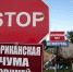 Африканская чума свиней опустошит бюджет Липецкой области - LipetskNews.Ru