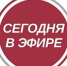 Смотрите сегодня на телеканале "Липецкое время" - Липецкое время