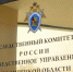 Проверку по факту циничного избиения ребенка проведет Следственный комитет - Gorod48.ru