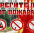 При сборе ягод и грибов, не забывайте о правилах пожарной безопасности! - МЧС Липецкой области