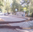 Упавшее дерево перегородило дорогу в Липецке - Gorod48.ru