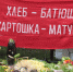 Тербунская рассыпуха - кормилица, веселуха - Управление культуры