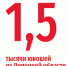 Первая отправка липецких новобранцев состоится 17 октября - Липецкая газета