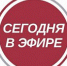 Смотрите сегодня на телеканале «Липецкое время» - Липецкое время