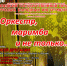 «Оркестр, маримба и не только…» ждут липчан - LipetskMedia.Ru