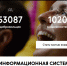 Липчан приглашают регистрироваться в соцсети для волонтеров - LipetskMedia.Ru