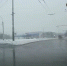 Липецкий водитель чуть не устроил аварию на кольце - Gorod48.ru