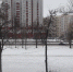 «Липецк заметает снегом» - Мост ТВ