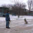 SAM_7958 - Липецкая ГТРК