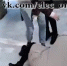 Школьницы били девочку и снимали на видео в Липецкой области - Мост ТВ