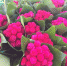 img-big-0 - Gorod48.ru
