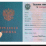 Назван срок появления электронных трудовых книжек - Уполномоченный по правам человека
