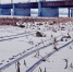 Лед на водоемах города становится непрочным - Gorod48.ru