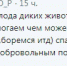 Олег Королев поблагодарил егерей за заботу о диких животных - LipetskMedia.Ru