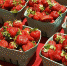 На Первом канале оценили вкус липецкой клубники - LipetskMedia.Ru