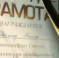 Девочка из Грязей выиграла борцовский турнир в Москве - LipetskMedia.Ru