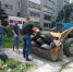 Во дворах Липецка демонтируют самодеятельное благоустройство - Gorod48.ru