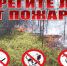 При сборе ягод и грибов, не забывайте о правилах пожарной безопасности! - МЧС Липецкой области