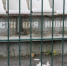 Липчанка не побоялась плюнуть в колодец, из которого пьет - Gorod48.ru