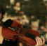 Липчане первыми услышат «Симфонию влюбленных бабочек» - Мост ТВ