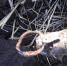 img-big-3 - Gorod48.ru