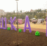В Липецке всё готово к книжному арт-фестивалю «Ш.К.А.F.» - LipetskMedia.Ru