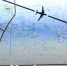 Что Минобороны РФ сообщило о ракете, сбившей MH17 - LipetskMedia.Ru