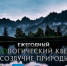 Юных липчан приглашают к участию в квесте «Созвучие природы» - Администрация г. Липецк