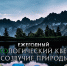 Липецкую молодежь приглашают к участию в квесте «Созвучие природы» - Lipetsk.Ru