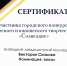 «Созвездие» - ГАПОУ ЛМК