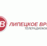 Территориальные избиркомы региона обзаведутся сайтами - Липецкое время