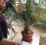 DSC07526.JPG - Избирком