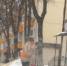 Главное – красиво встать. Выпивший дворник позабавил липчан (видео) - LipetskMedia.Ru