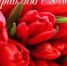 C праздником вас, дорогие женщины! - Прокуратура