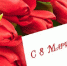1456891005_pozdravleniya-8-marta.jpg - Избирком