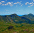 «Берега Надежды» приглашают в Крым - Lipetsk.Ru