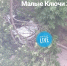 Дерево упало на машину в центре Липецка - LipetskMedia.Ru