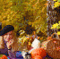 Фотодень Золотая осень - Lipetsk.Ru