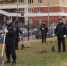 Липецкие полицейские посадили лес - Мост ТВ