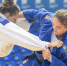 Кубок Европы по дзюдо выиграла 21-летняя липчанка - LipetskMedia.Ru