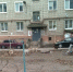 #lipetsklike. Горожан атакует стая бродящих собак - Мост ТВ