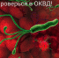 Инфекция Helicobacter pylori - ГУЗ ОКВД