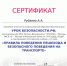 Студенты ГОАПОУ «Липецкий металлургический колледж» приняли участие во Всероссийской образовательной акции «УРОК БЕЗОПАСНОСТИ.РФ» по теме «Правила поведения пешехода и безопасного поведения на транспорте». - Металлургический колледж