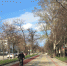 Индекс самоизоляции в Липецке снова падает - Gorod48.ru