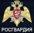 РОСГВАРДИЯ УСТАНОВИЛА ОСОБЕННОСТИ ОСУЩЕСТВЛЕНИЯ В 2020 ГОДУ РАЗРЕШИТЕЛЬНОЙ ДЕЯТЕЛЬНОСТИ - Росгвардия
