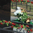 Доступ на кладбища открыли в Липецке. Но не для стариков - LipetskMedia.Ru