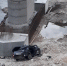 vsKmTPlm3xA.jpg - Gorod48.ru