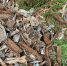 img-big-0 - Gorod48.ru
