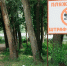 Началась реконструкция Центрального пляжа - Липецкая газета